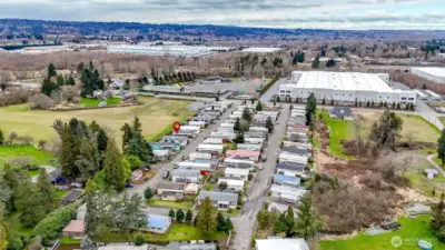 Quick trip to Fred Meyers and other Downtown Puyallup Gems!