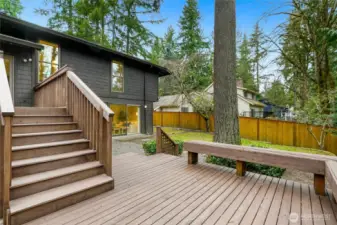 Open and spacious lot with tons of natural light - Rare for Sahalee