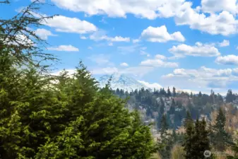 View of Mount Rainier from backyard