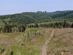 Enjoy the view! This could be your new home!