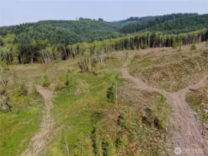 The property extends into the trees before bordering with forestland. Just a bit farther east and you'll reach Capitol State Forest!