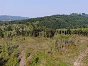 Aerial view looking NW. Beautiful rolling hills, lush landscape, truly a serene property!