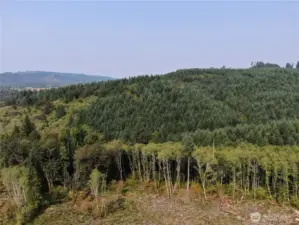 Aerial view looking NW. The creek is found in the wooded area at the back of the property.