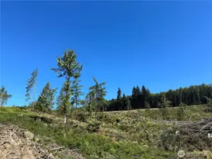 This property is so peaceful. This view is facing NE.