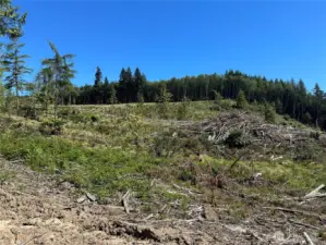 Looking east over the property, shortly past the entrance.