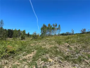 Imagine this as your new backyard! Backing to forest land, plus 16 acres with a creek to call your own means endless fun outdoors!