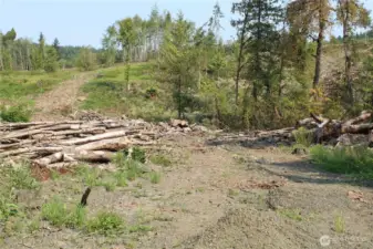 This is the entry driveway, right off Cedar Creek Rd. Please do not drive onto the property.