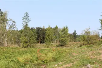 You are not going to want to miss the opportunity to own this amazing property!