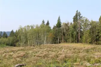 The property extends slightly into the tree line at the back of the property.