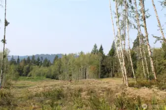 This view looking NW shows the beautiful and gently rolling landscape on the hilltop.