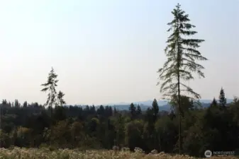 Imagine enjoying these picturesque views after a long day, relaxing at your new home! Don't miss out on this one, come check it out today!