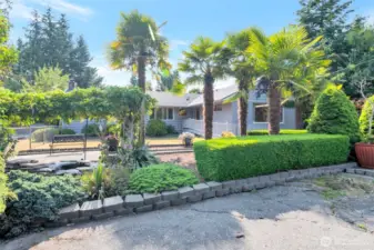 Front of the house with palm trees, lawn and pond area