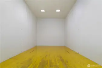 Racquetball anyone?