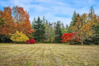 T-day football, soccer, baseball, badminton, all of the above at the same time!