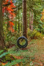 Dreams come true here.