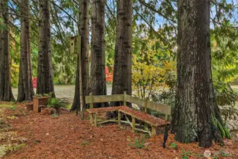 Owl house and a bench for thinking. - pond is to my left, meadow is straight behind the trees