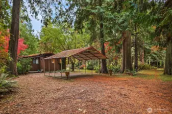 Carport entrance and to the right of the picture, a road has been put in that crosses the stream so it is possible to drive over this area to reach the far side of the property.