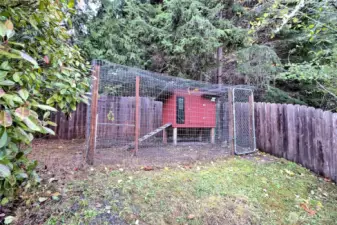 Wonderful BIG chicken coop! It runs a long ways down the fence line for your chickens to have plenty of SAFE ground to roam.