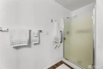 Primary bath has walk-in shower