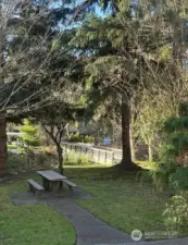 The community has so many great sitting areas, sidewalks and open space