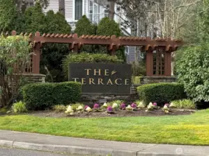 Welcome to the Terrace!