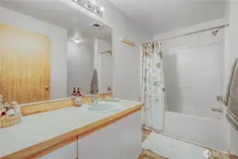 Guest bathroom