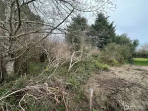 neighbors property is staked