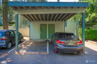 Covered parking with storage!