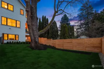 Black Walnut tree grounds this property and the spacious backyard. (Grass is being completed)