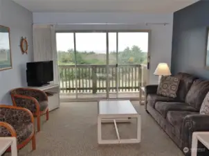 Relax in this Living Room w/ large windows/slider.