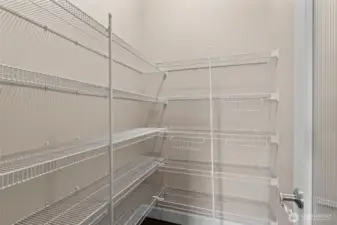 Textured glass door leads to an expansive walk-in pantry with auto-light sensor and tons of shelving, providing ample storage for kitchen essentials.