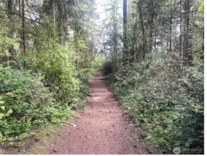 Explore scenic walking and biking trails nestled among the evergreens—right in the heart of Meridian Campus.
