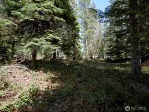 Acreage