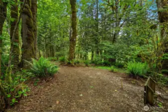 Walking Trail on property, including down to Green Cove Creek.
