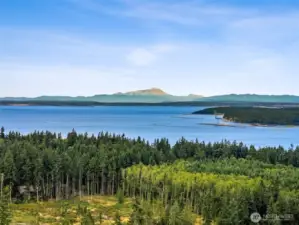 4 miles from Public Beach access, County Parks, Fort Townsend, Camping, Hiking Trails, Boat Launches, Dog Parks.