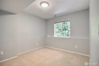 Basement full bedroom with walk in closet