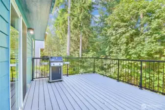 Trex deck with aluminum railings
