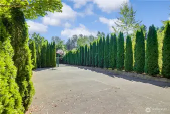Basketball court across the street