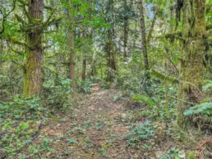 North south trail