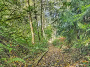 A lovely walk