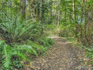 Trail East to West