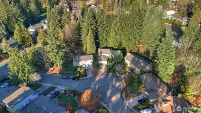 This home is tucked away on a quiet street backing to mature trees offering added privacy and serene surroundings.