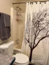 Other side of Main Bath