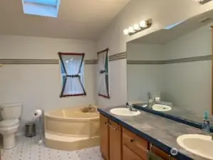 Primary 5-piece Bath with Soaking Tub and Skylight