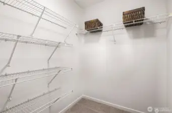 Primary suite walk in closet.
