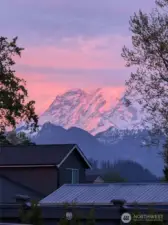 View of Mount Rainier from the backyard
