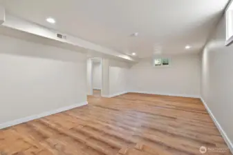 Large family room on the lower level