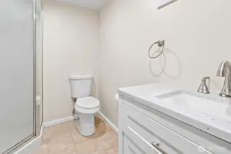 Lower level bathroom with shower