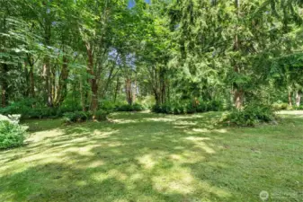 Trails have been cut throughout the property