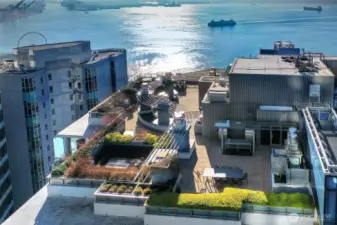 Rooftop deck spaces - great for BBQs and taking in the incredible view. There's also a pet area up here!